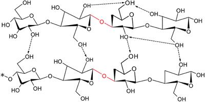 Conversion of Biomass to Organic Acids by Liquefaction Reactions Under Subcritical Conditions